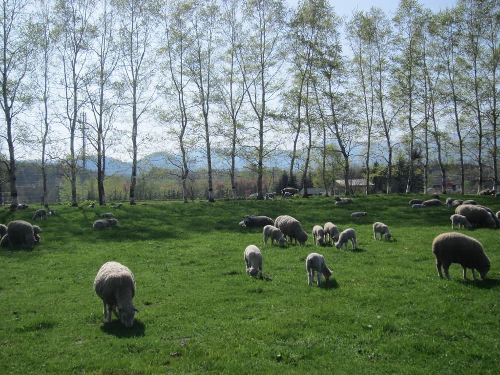 Вілла Yorkshire Farm Shintoku Екстер'єр фото