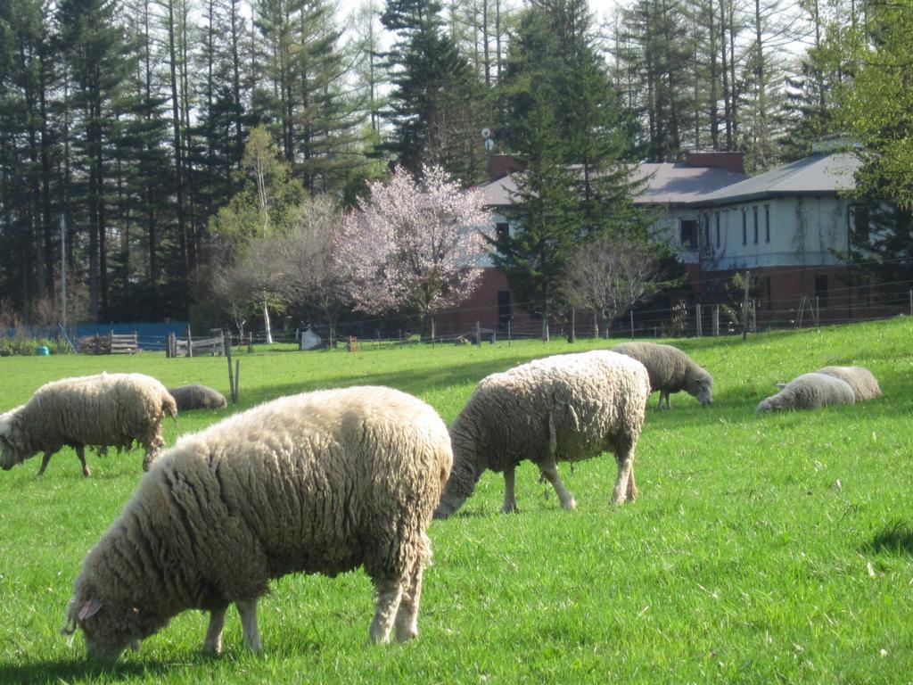 Вілла Yorkshire Farm Shintoku Екстер'єр фото