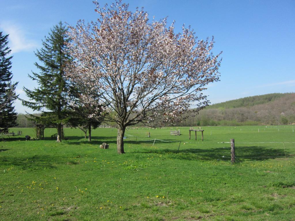 Вілла Yorkshire Farm Shintoku Екстер'єр фото