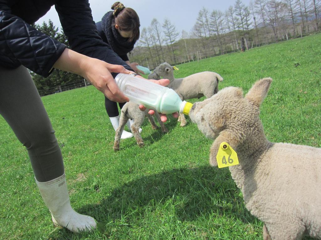 Вілла Yorkshire Farm Shintoku Екстер'єр фото
