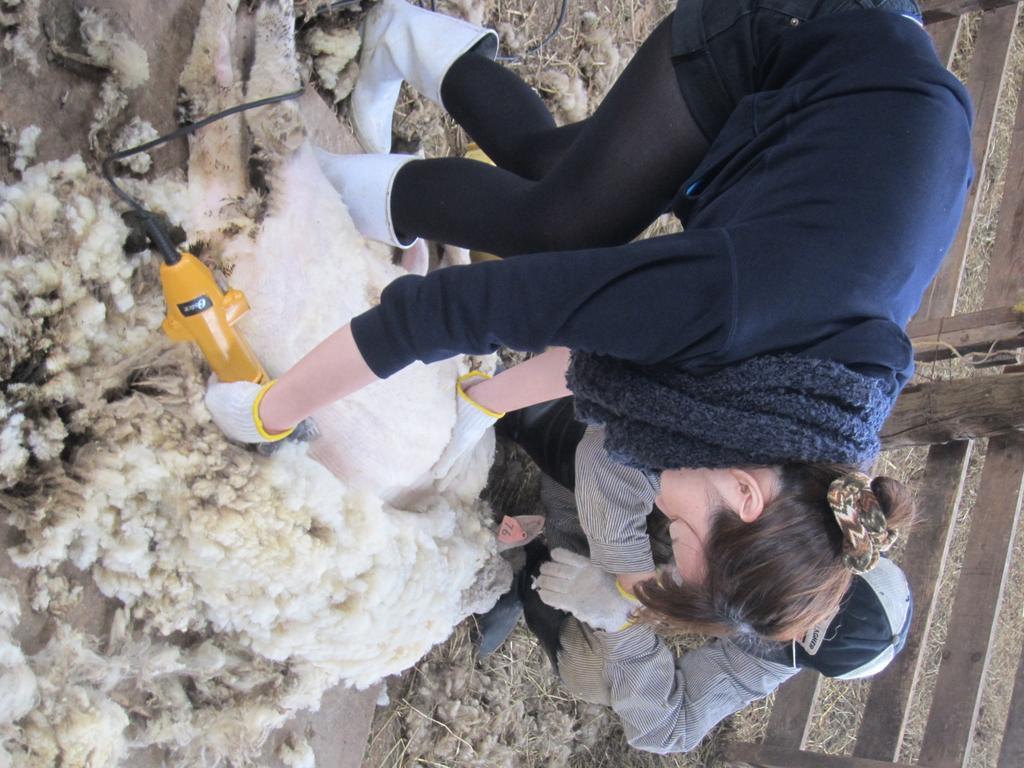 Вілла Yorkshire Farm Shintoku Екстер'єр фото