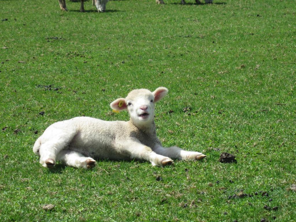 Вілла Yorkshire Farm Shintoku Екстер'єр фото