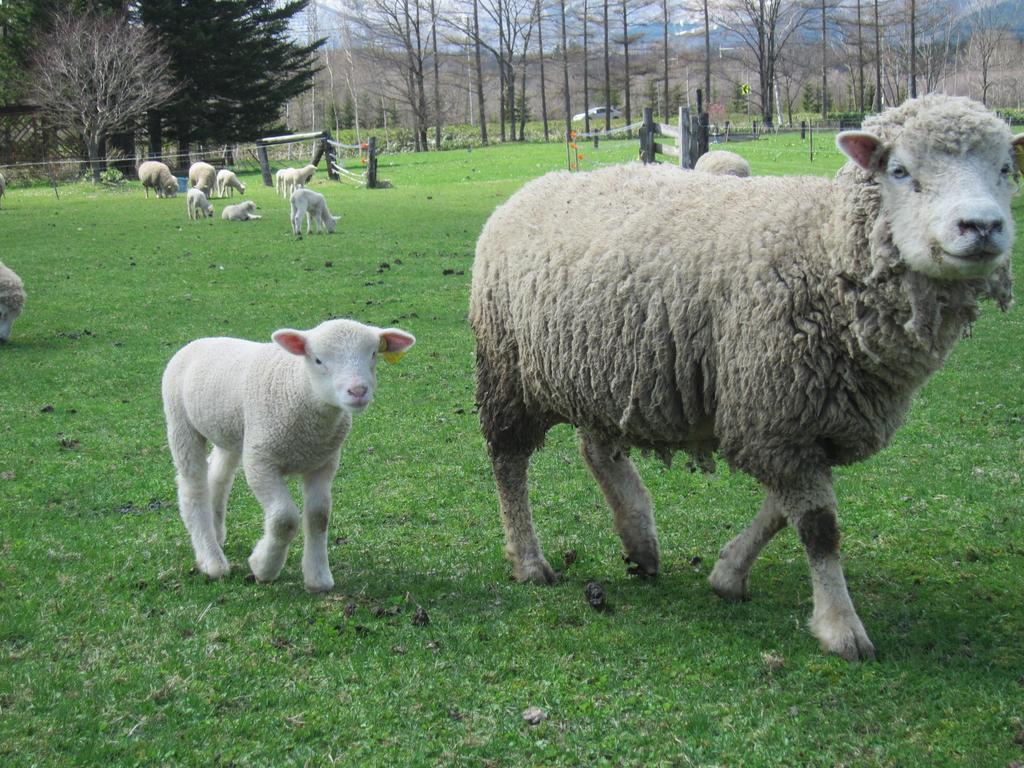 Вілла Yorkshire Farm Shintoku Екстер'єр фото