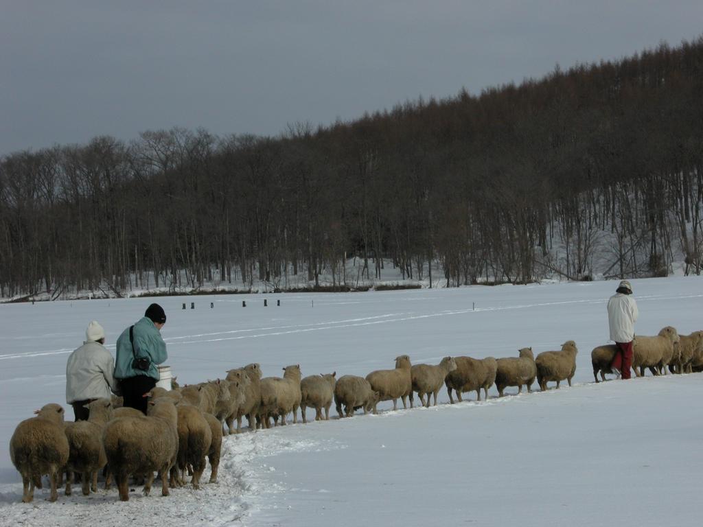 Вілла Yorkshire Farm Shintoku Екстер'єр фото