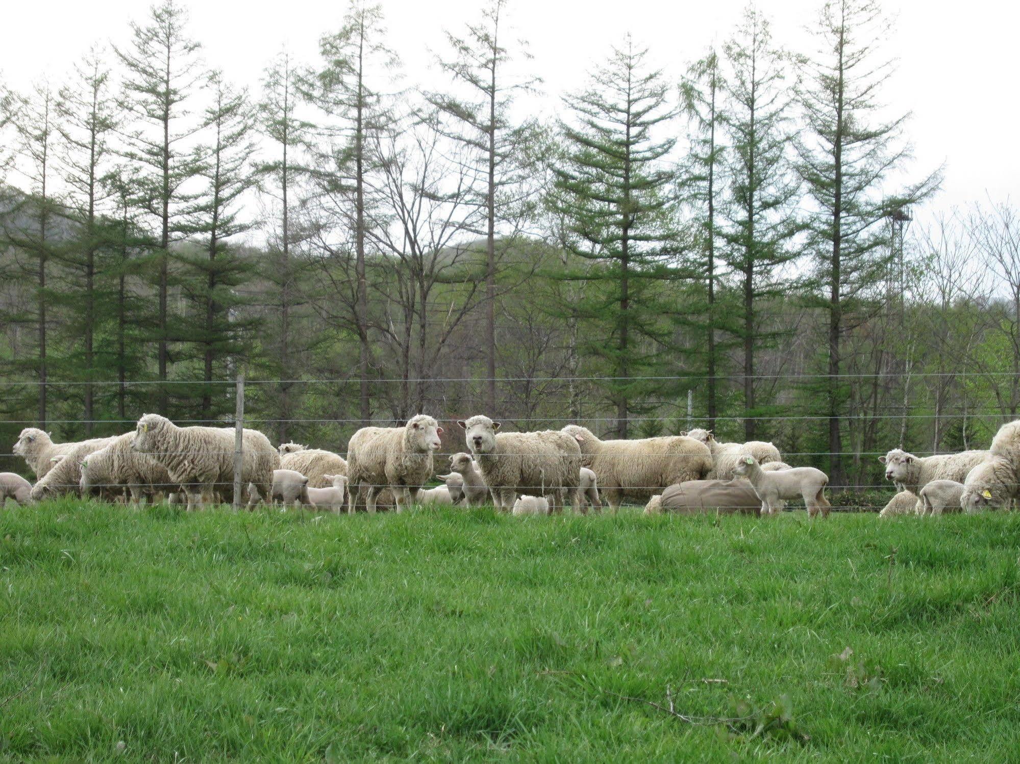 Вілла Yorkshire Farm Shintoku Екстер'єр фото
